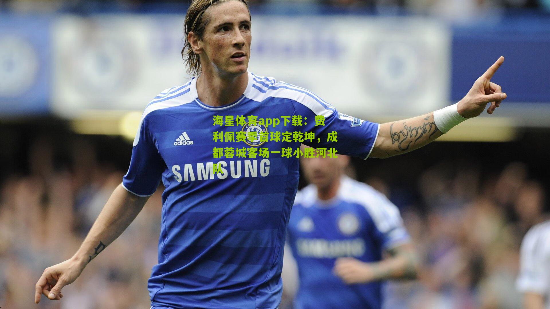 费利佩赛季首球定乾坤,成都蓉城客场一球小胜河北队