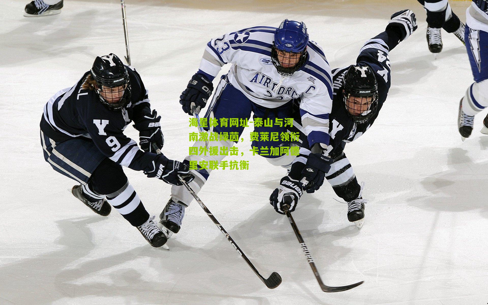 海星体育网址-泰山与河南激战绿茵，费莱尼领衔四外援出击，卡兰加阿德里安联手抗衡